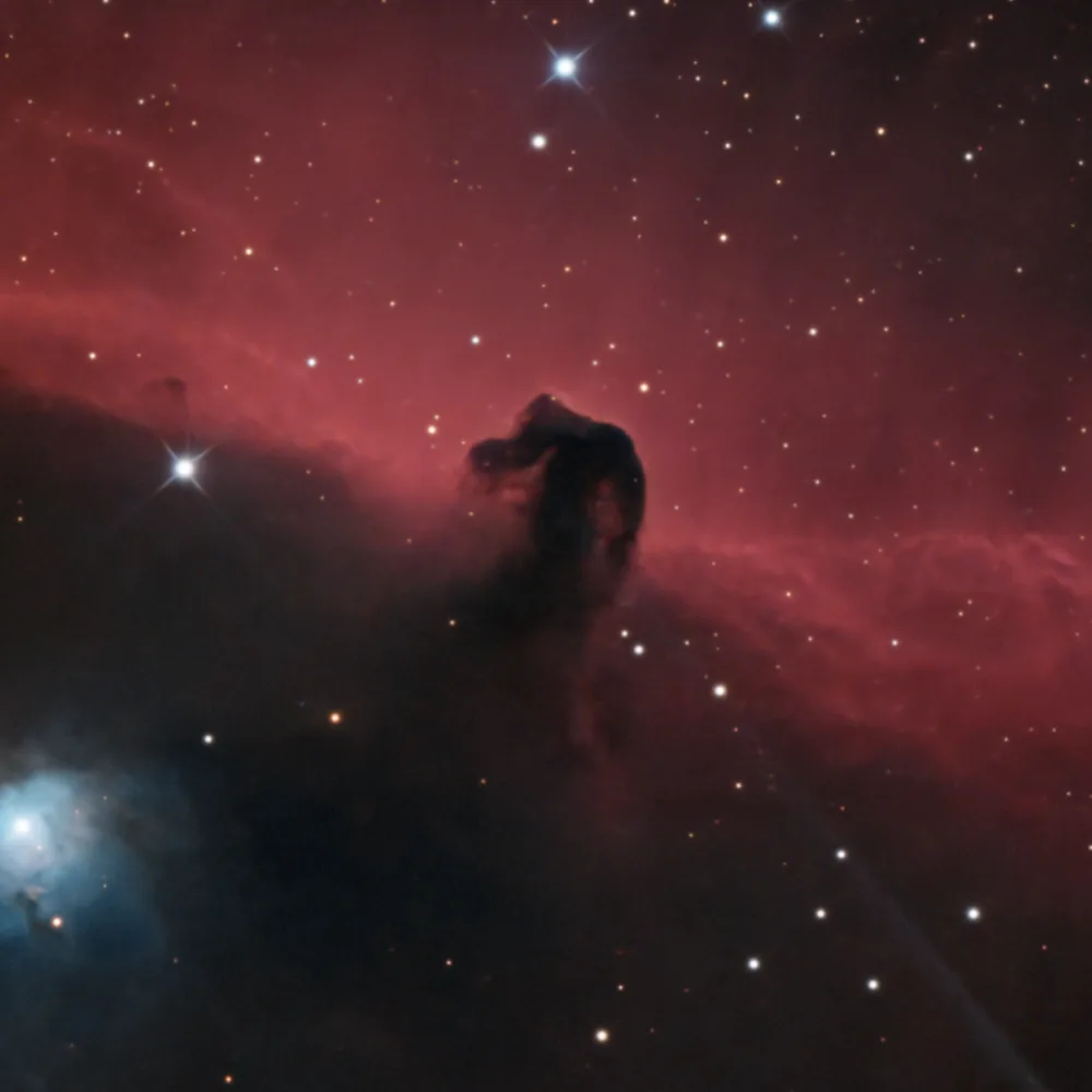 Horsehead, After processing
