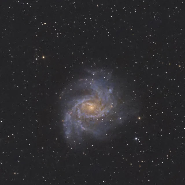 NGC 6946, Fireworks Galaxy