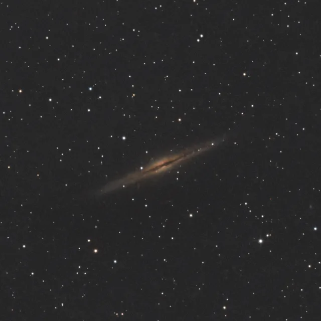 NGC 891