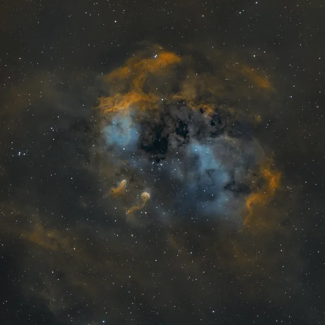 IC 410, Tadpoles Nebula
