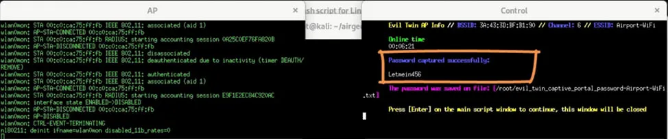 Synthetic test credentials captured by the portal