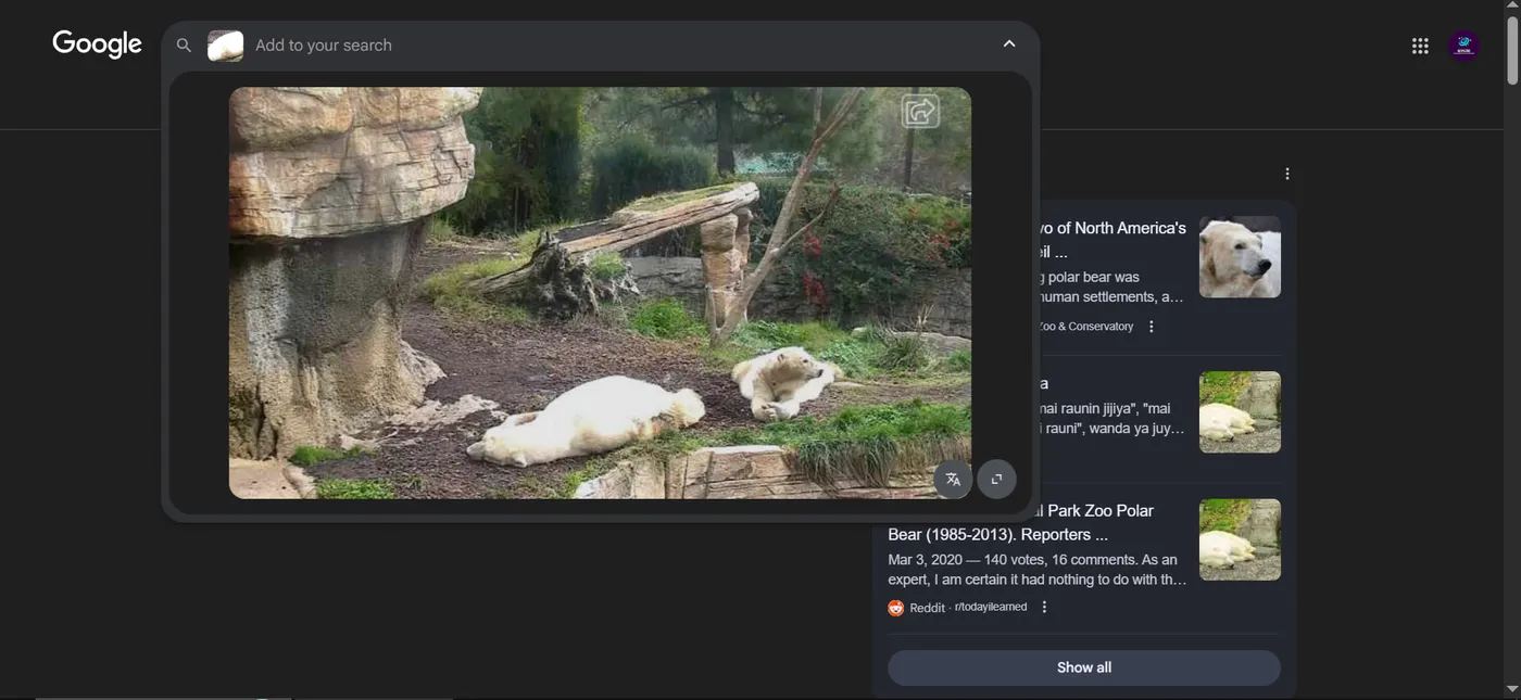 Google Lens reverse search