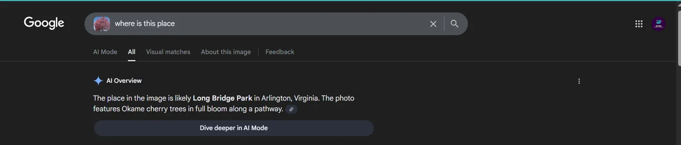 AI Photo Search